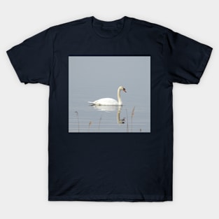 Swan, nature, wild birds, wildlife gifts T-Shirt